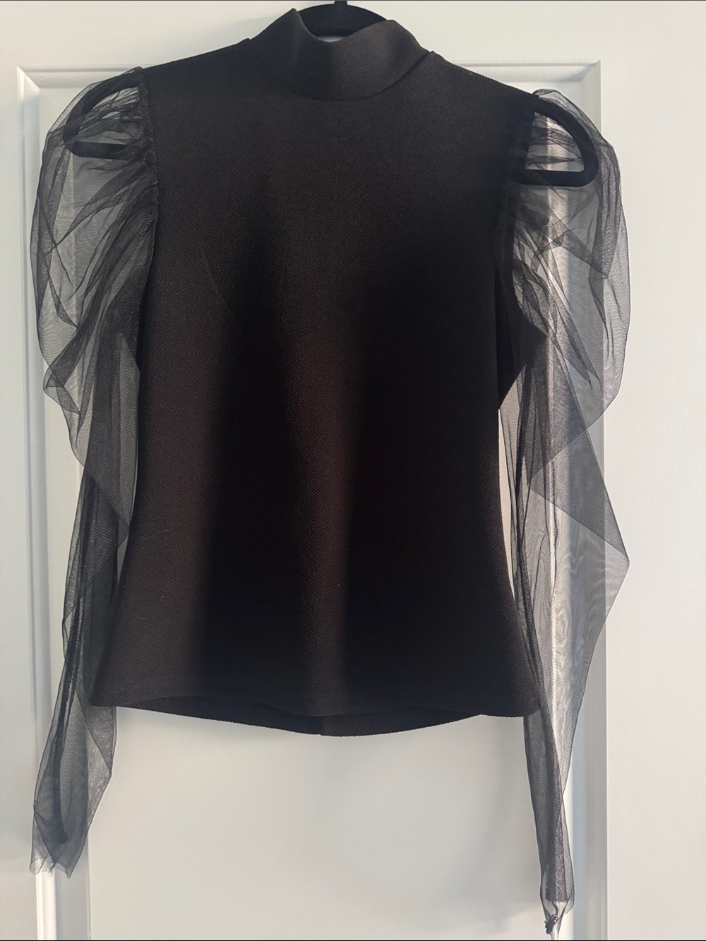 Black Sheer Sleeve Mock Neck Top
